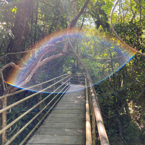 Sun in Manuel Antonio