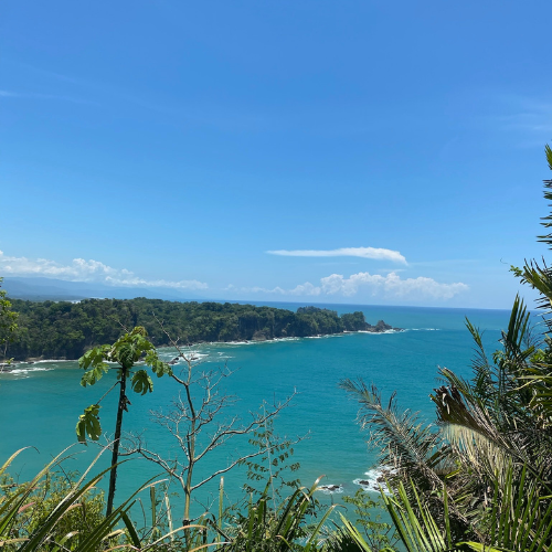 Manuel Antonio National Park : Costa Rica’s Tropical Treasure