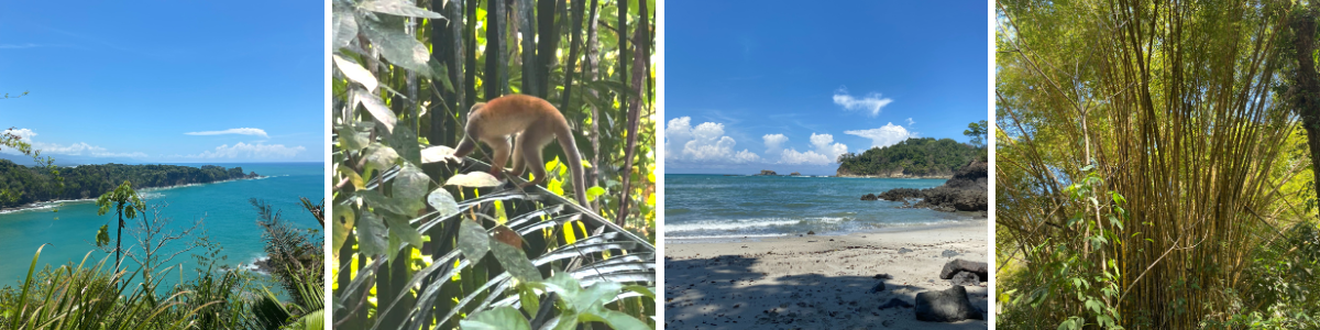banniére Manuel Antonio
