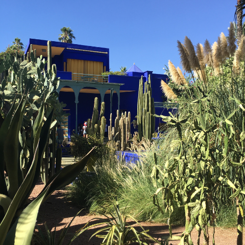 Majorelle Garden