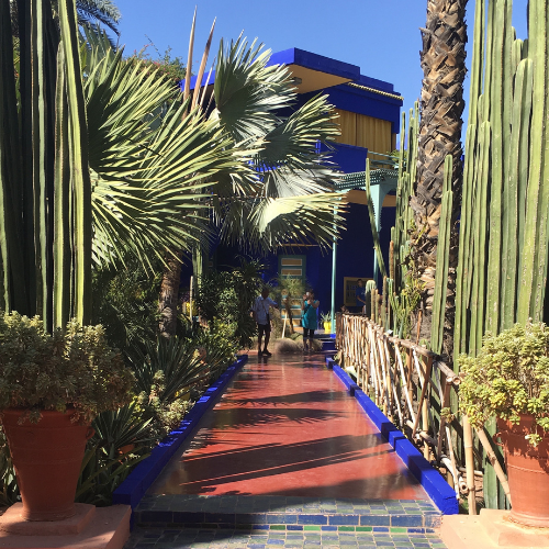 Photo in Jardin Majorelle