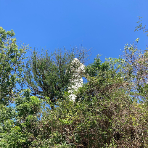 Statue Mirador SJDS