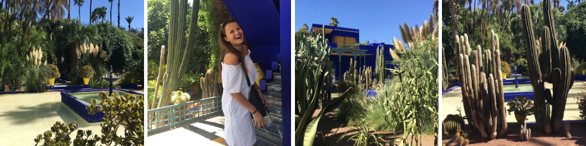 Majorelle banniére