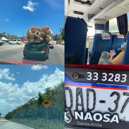 Bus or Car during yucatan trip
