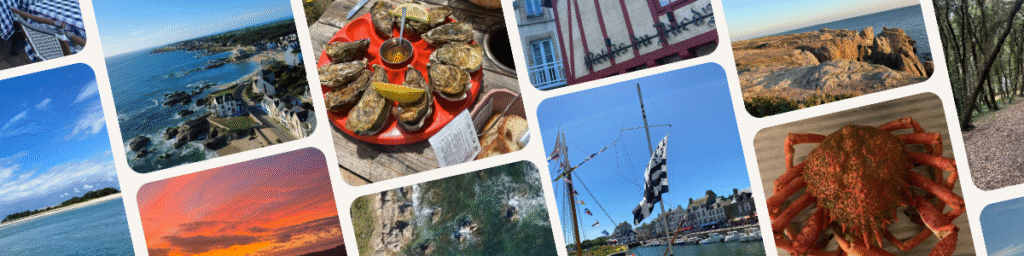 banner-le-croisic-article-wild-coast