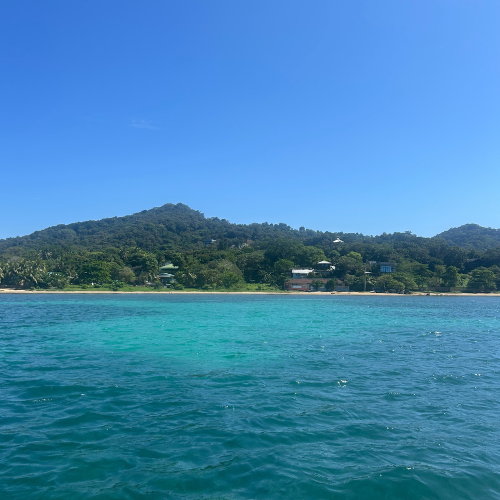 Best South Roatan Snorkeling Spots Accessible from the Beach Sandy Bay