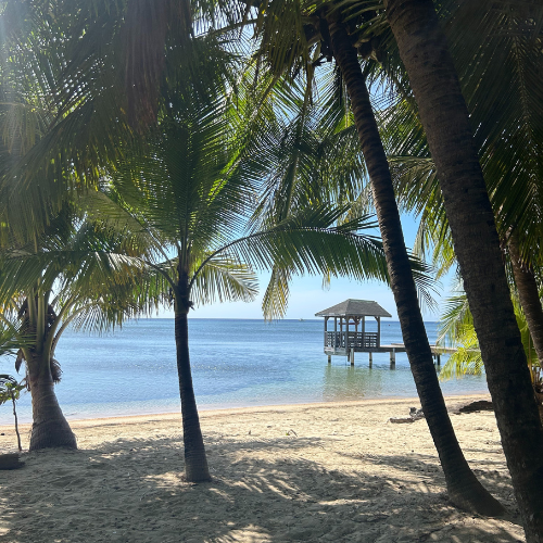 Best South Roatan Snorkeling Spots Accessible from the Beach West End