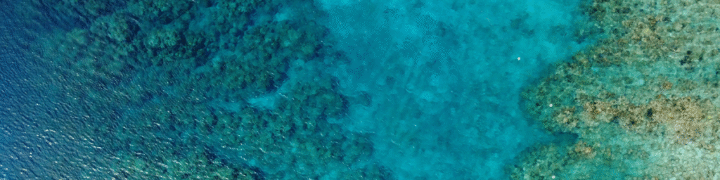 Coral-reef-roatan-from-above
