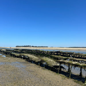 During spring tides, try shore fishing (“pêche à pied”) in Le Trait