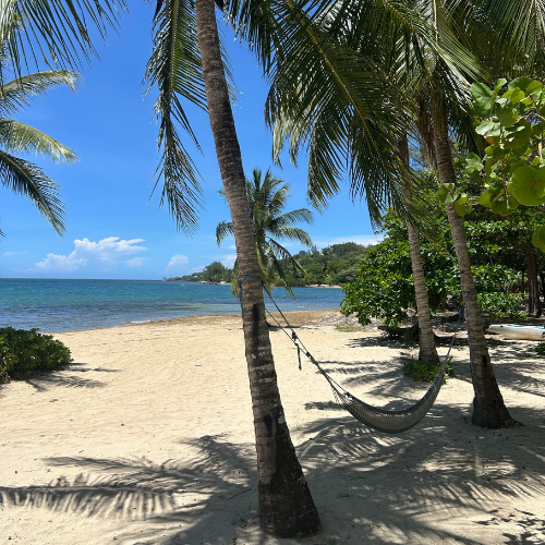 Palmetto-bay-roatan-most-beautiful-beach