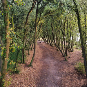Take a walk through Parc de Penn Avel, a quiet green space perfect for slowing down and enjoying a more intimate side of the peninsula
