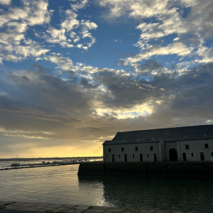 Visit an exhibition at the former fish market (ancienne criée)