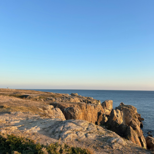 Walk along the Wild Coast and discover the art installations scattered along the path