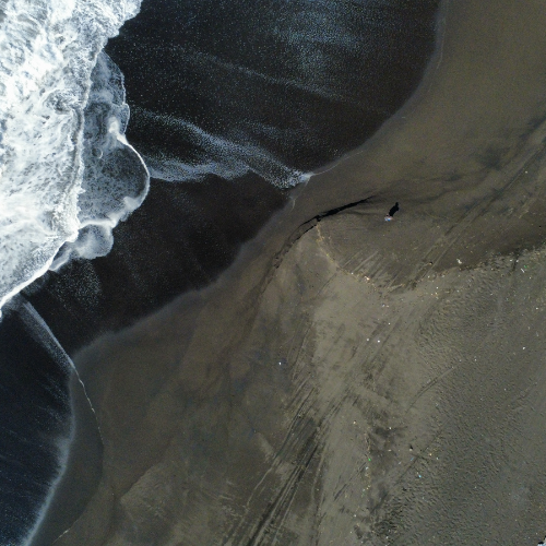 Guatemala How to Get to Monterrico